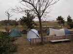 P4300168.jpg