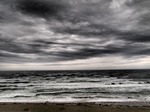 P5010231.jpg